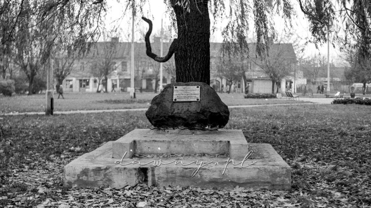 Pomnik ofiar pomordowanych w latach1939-45 w Wołominie, plac 3-go Maja. 30 października 1975 r. Fot. Bolesław Szulim.
