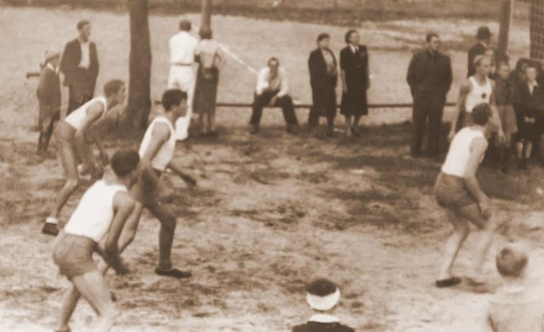 siatkowka