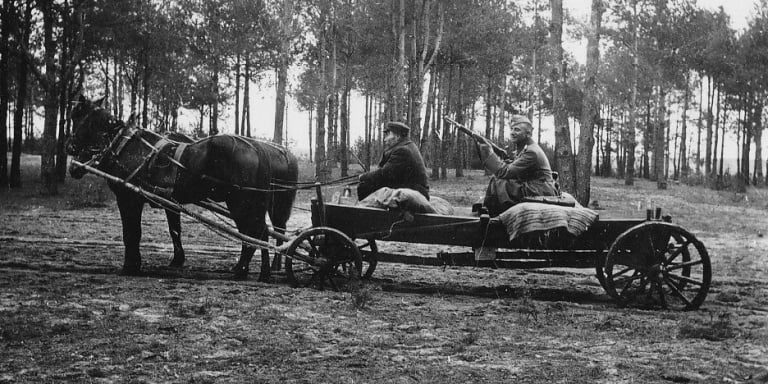 H Horse drawn carriage