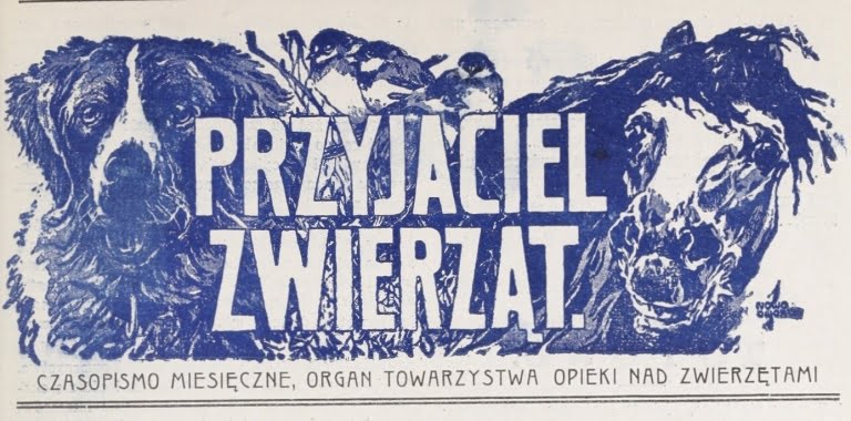 przyjaciel zwierzat e