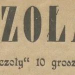 pszczola e