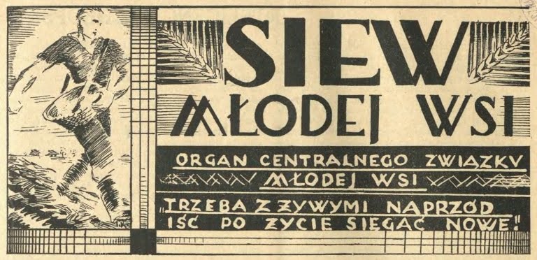 siew mlodej wsi e