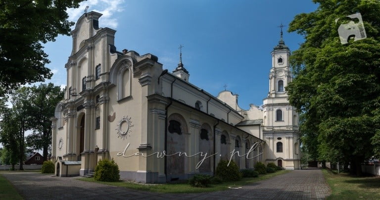 trojca kobylka