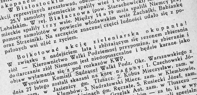 akcja zieleniarska