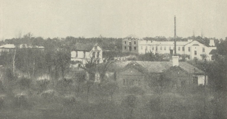 Ogólny widok zakładu w Drewnicy w roku 1906
