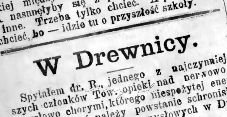 w drewnicy