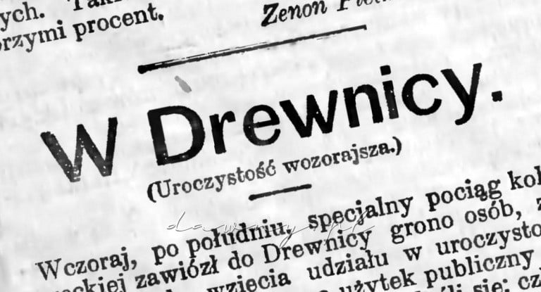 w drewnicy