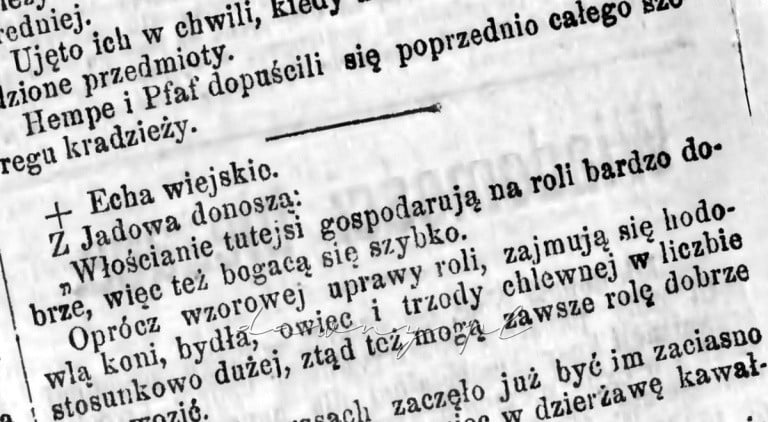 echa wiejskie jadow