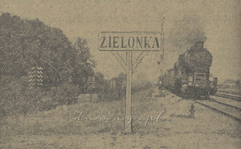 zielonka 1936