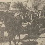 tłuszcz 1953