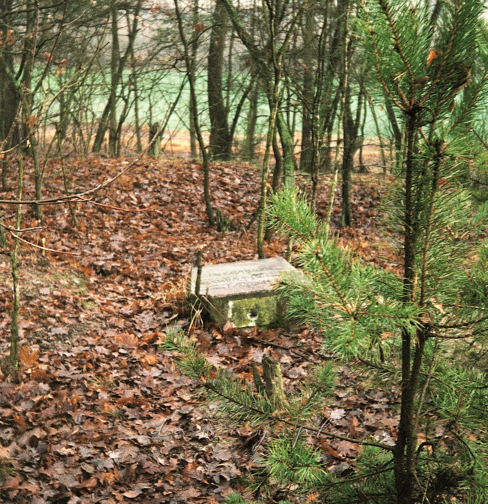 Mostówka. Drugi z dobrze zachowanych grobów.