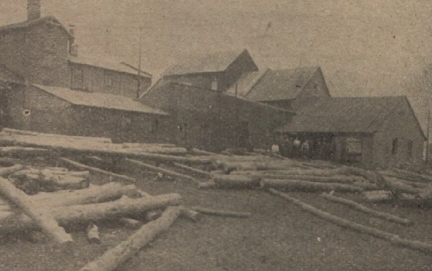Tartak w Radzyminie, rok1930