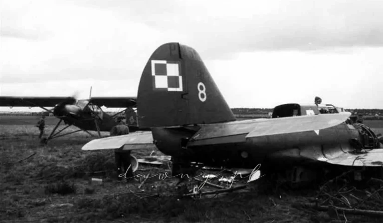 PZL.23B nr 44.217 „8” z 41 ER po uszkodzeniu, podczas lądowaniu w Zielonce. Obok samolotu widać resztki „chojarów”, którymi zamaskowano maszynę. W tle, z włączonym silnikiem, stoi niemiecki samolot Fi-156, którego załoga rozpoznawała wraki samolotów w okolicach Warszawy. Dalej widać nasyp kolejki wąskotorowej i teren poligonu. Zdjęcie wykonano w drugiej połowie września 1939 r.