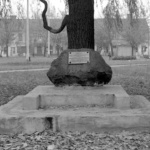 Pomnik ofiar pomordowanych w latach1939-45 w Wołominie, plac 3-go Maja. 30 października 1975 r. Fot. Bolesław Szulim.
